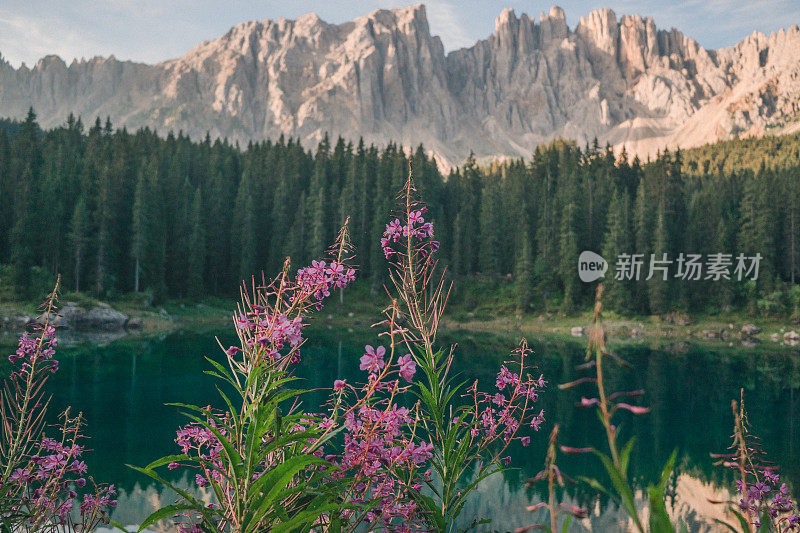 在Dolomites湖的风景di Carezza